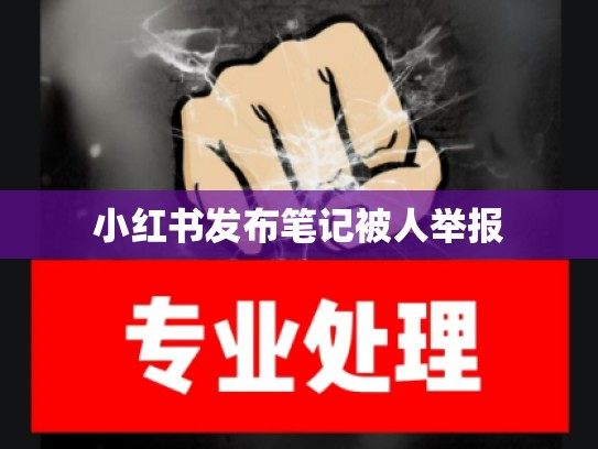 小红书发布笔记被人举报