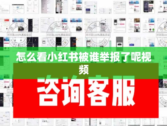 怎么看小红书被谁举报了呢视频