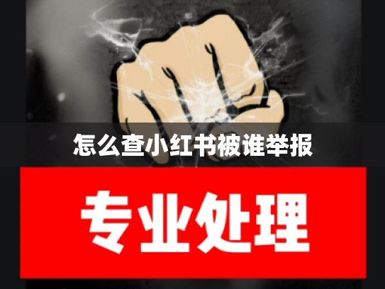 怎么查小红书被谁举报