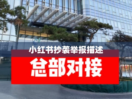 小红书抄袭举报描述