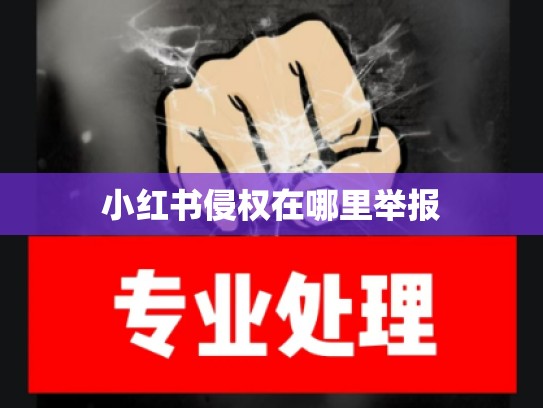 小红书侵权在哪里举报