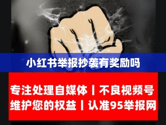小红书举报抄袭有奖励吗