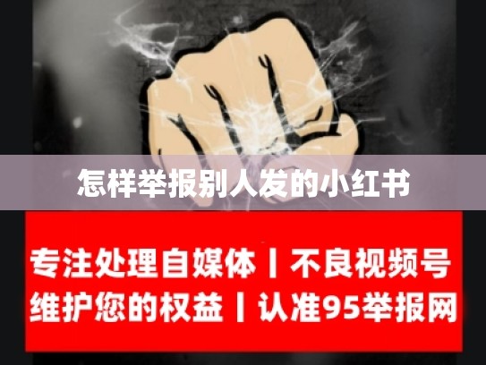 怎样举报别人发的小红书