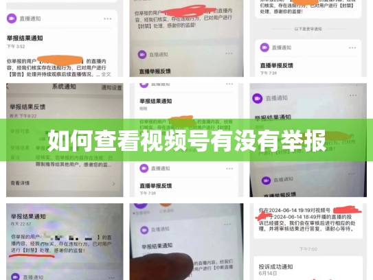 如何查看视频号有没有举报