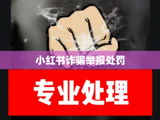 小红书诈骗举报处罚