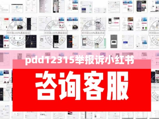 pdd12315举报诉小红书