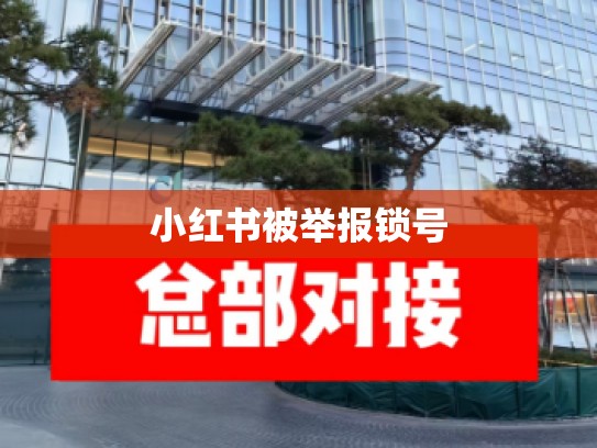 小红书被举报锁号