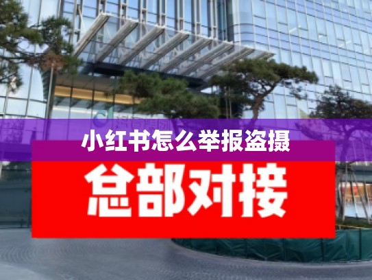 小红书怎么举报盗摄