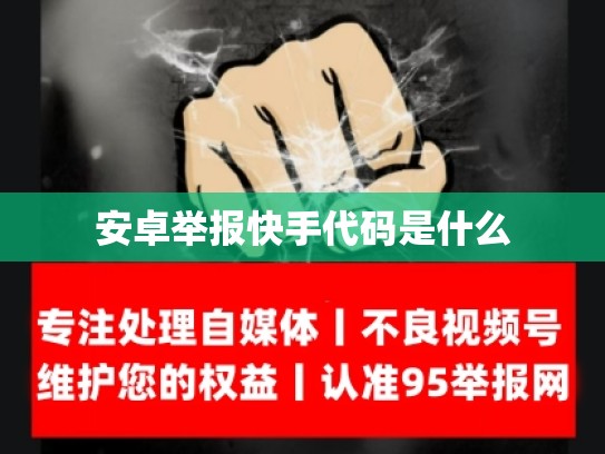 安卓举报快手代码是什么