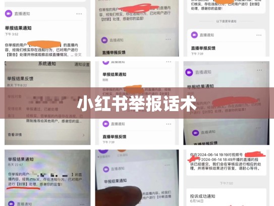 小红书举报话术