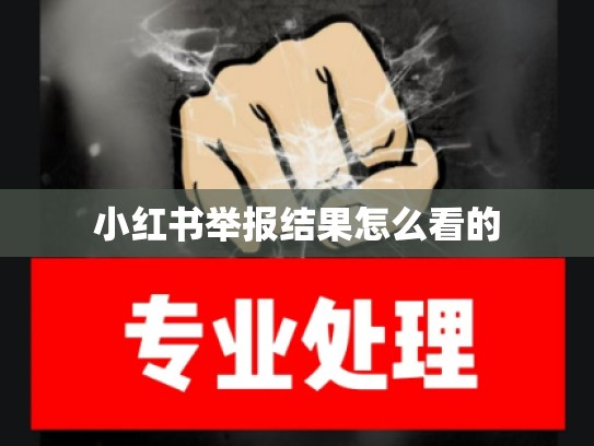 小红书举报结果怎么看的