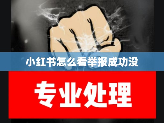 小红书怎么看举报成功没