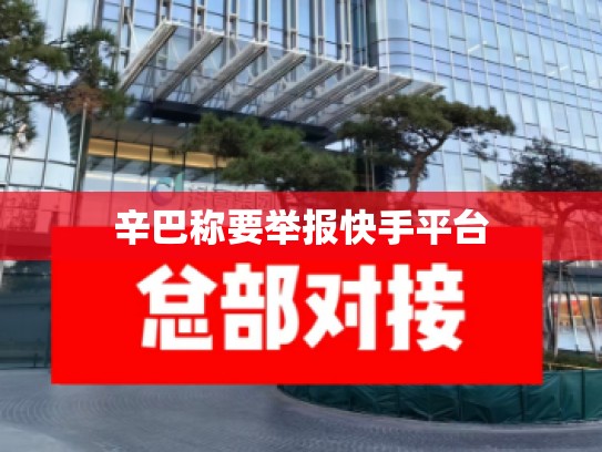 辛巴称要举报快手平台