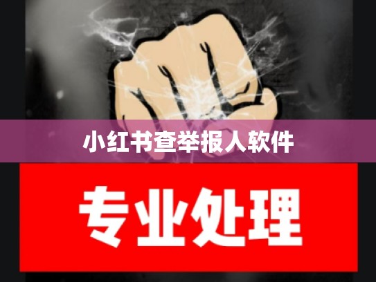 小红书查举报人软件