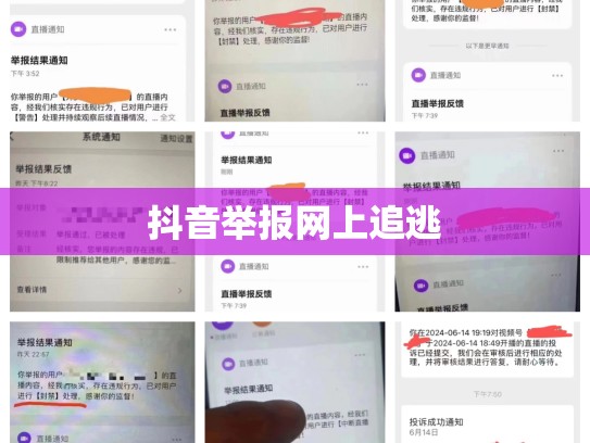抖音举报网上追逃