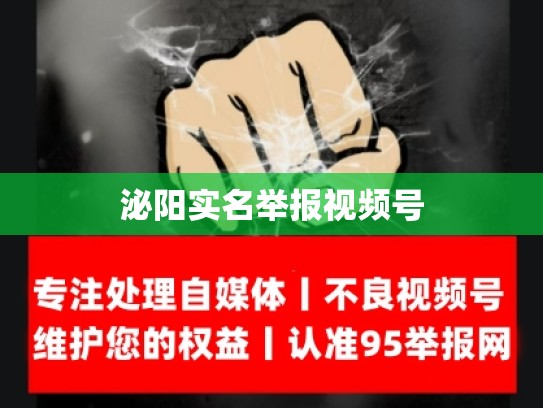 泌阳实名举报视频号