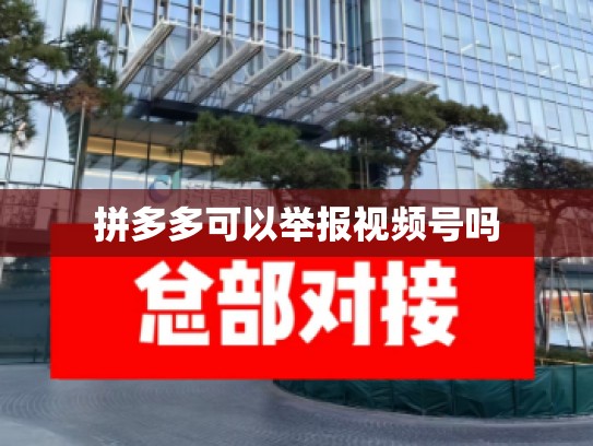拼多多可以举报视频号吗