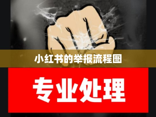 小红书的举报流程图