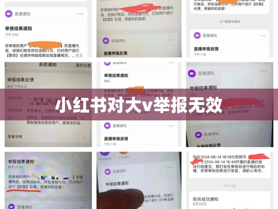 小红书对大v举报无效