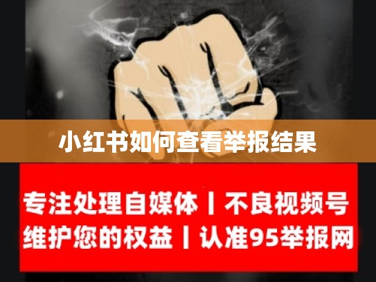 小红书如何查看举报结果