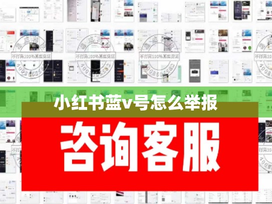 小红书蓝v号怎么举报