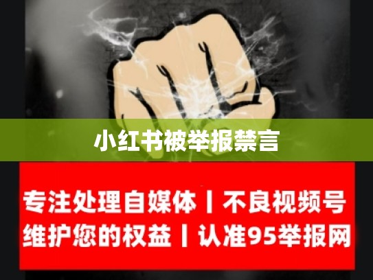 小红书被举报禁言