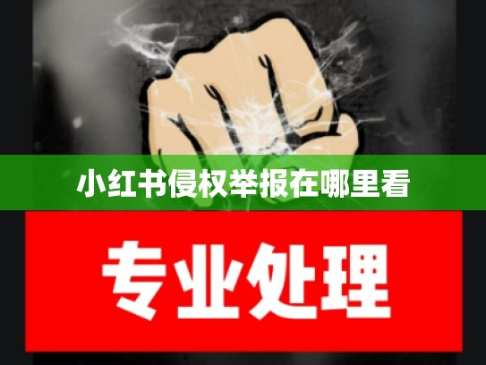 小红书侵权举报在哪里看