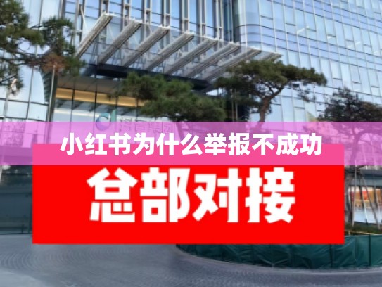 小红书为什么举报不成功