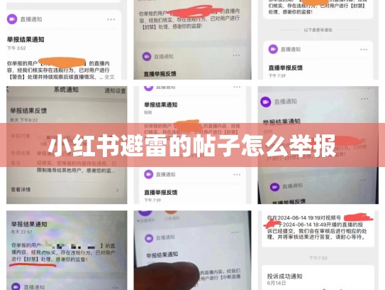小红书避雷的帖子怎么举报