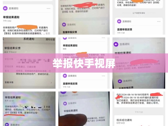 举报快手视屏
