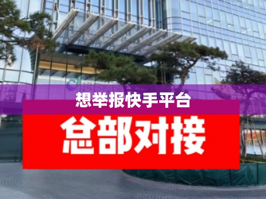 想举报快手平台