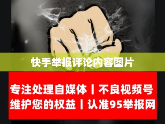 快手举报评论内容图片