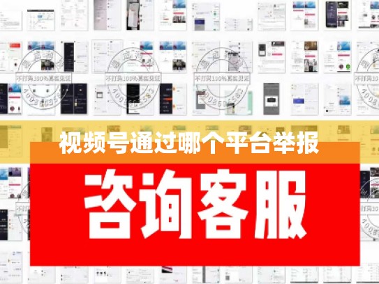 视频号通过哪个平台举报