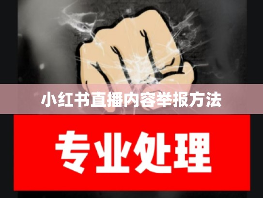 小红书直播内容举报方法