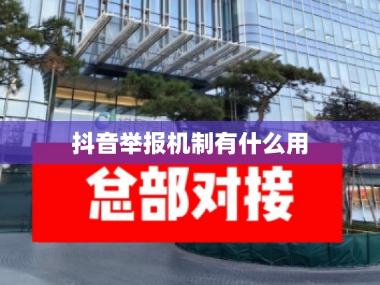 抖音举报机制有什么用