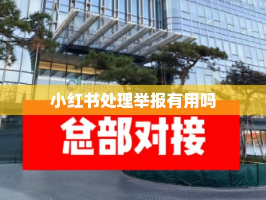 小红书处理举报有用吗