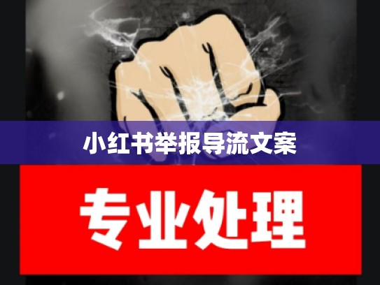 小红书举报导流文案