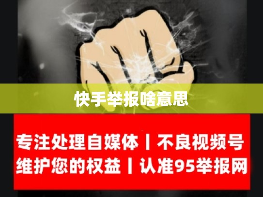 快手举报啥意思