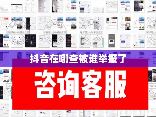 抖音在哪查被谁举报了