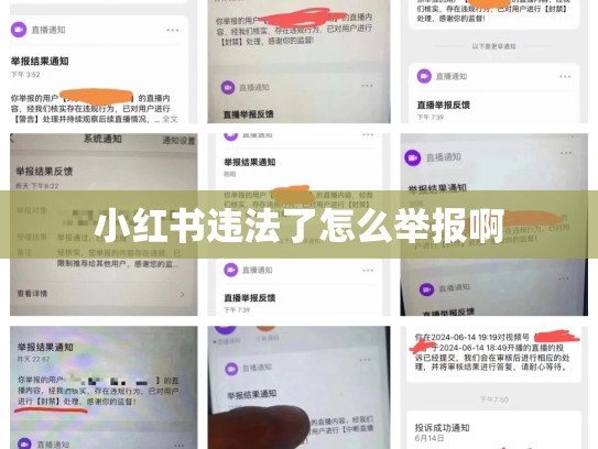 小红书违法了怎么举报啊