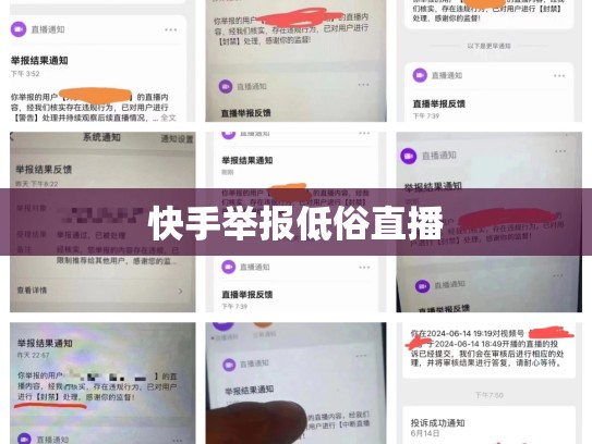 快手举报低俗直播