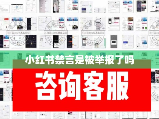 小红书禁言是被举报了吗