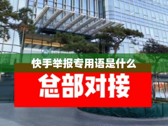 快手举报专用语是什么
