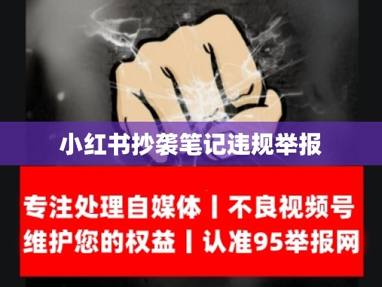 小红书抄袭笔记违规举报