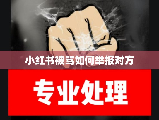 小红书被骂如何举报对方