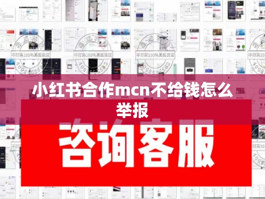 小红书合作mcn不给钱怎么举报