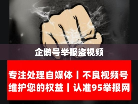 企鹅号举报盗视频