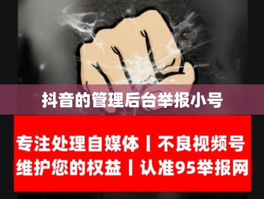 抖音的管理后台举报小号