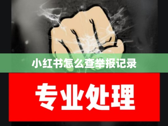 小红书怎么查举报记录