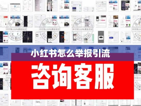 小红书怎么举报引流